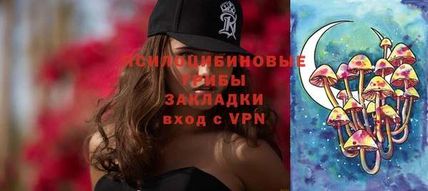 крисы Аркадак
