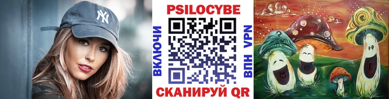 Галлюциногенные грибы прущие грибы  Строитель 